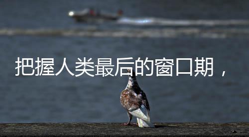 把握人类最后的窗口期,ADI推出最新储能解决方案
